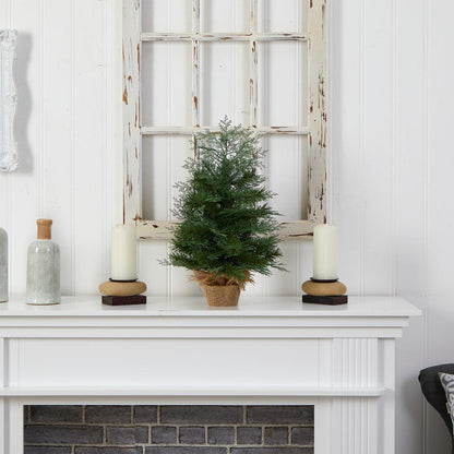 2ft. Artificial Christmas Tree in Burlap Base with 35 Warm White LED Lights
