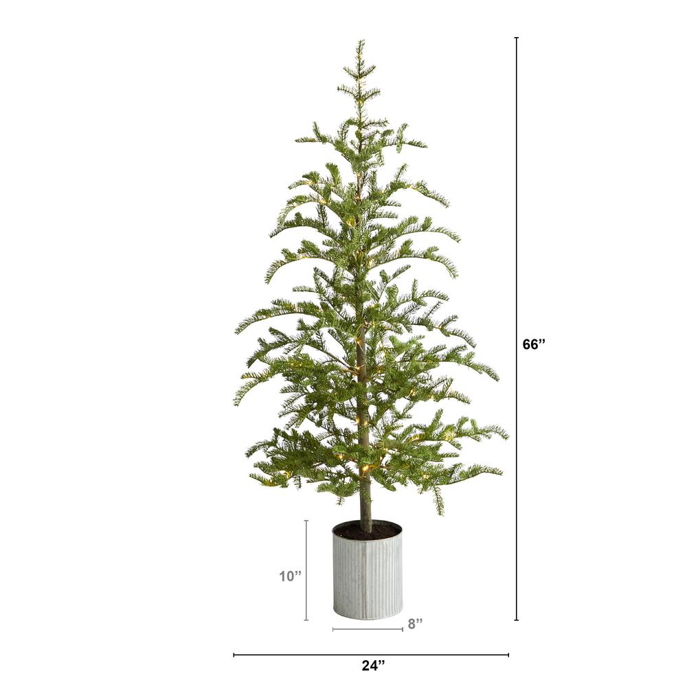 5.5ft. Pre-Lit Pine Artificial Christmas Tree in Decorative Planter with 150 Lights