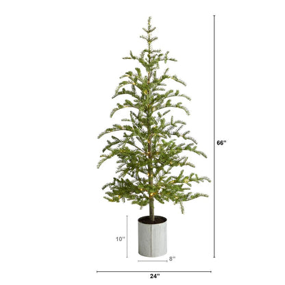 5.5ft. Pre-Lit Pine Artificial Christmas Tree in Decorative Planter with 150 Lights