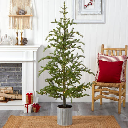 5.5ft. Pre-Lit Pine Artificial Christmas Tree in Decorative Planter with 150 Lights