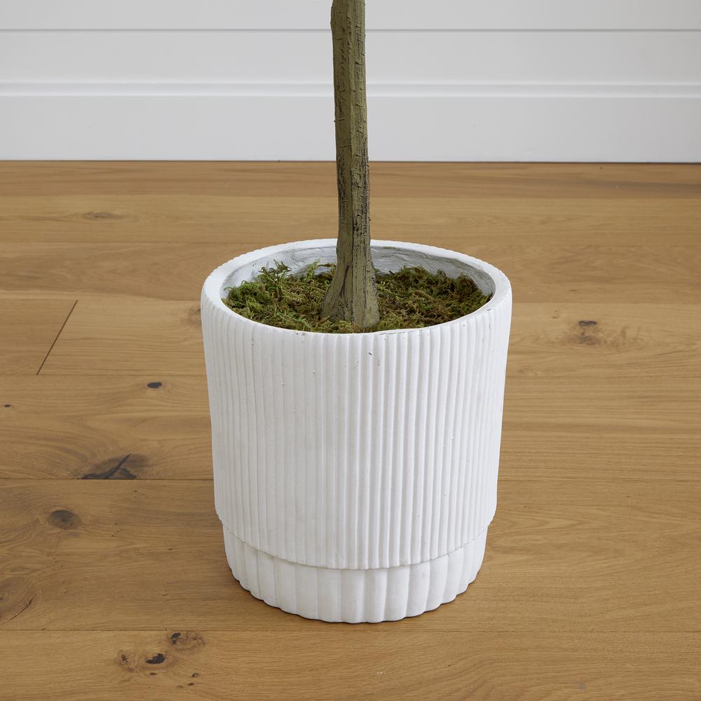 6ft. Artificial Eucalyptus Tree with White Decorative Planter