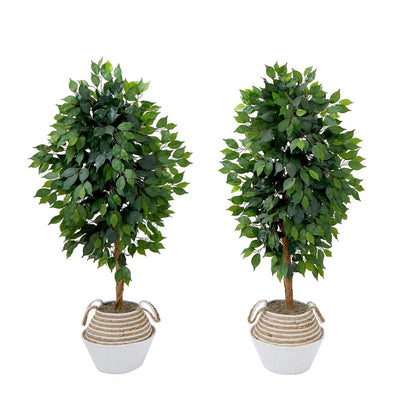 4.5ft. Artificial Ficus Tree with Double Trunk in Handmade Cotton