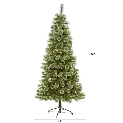 7ft. Wisconsin Slim Snow Tip Pine Artificial Christmas Tree