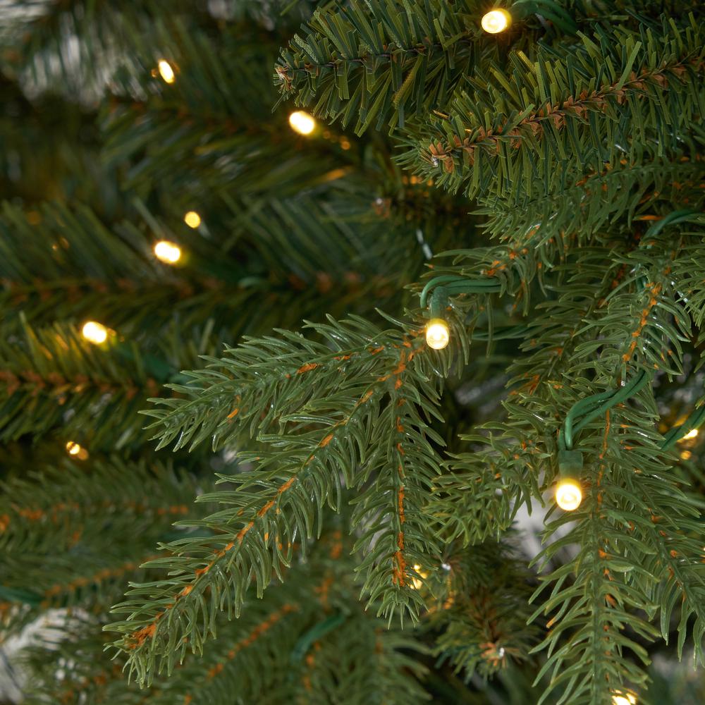 12ft. Belgium Fir Natural-Look Artificial Christmas Tree