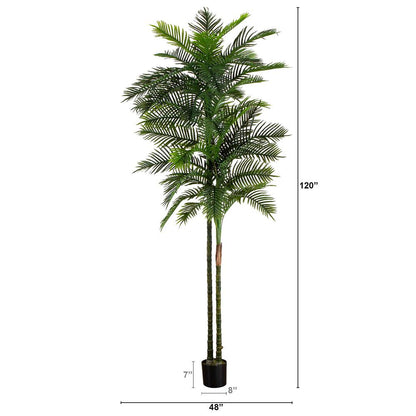 10ft. UV Resistant Artificial Double Robellini Palm Tree (Indoor/Outdoor)