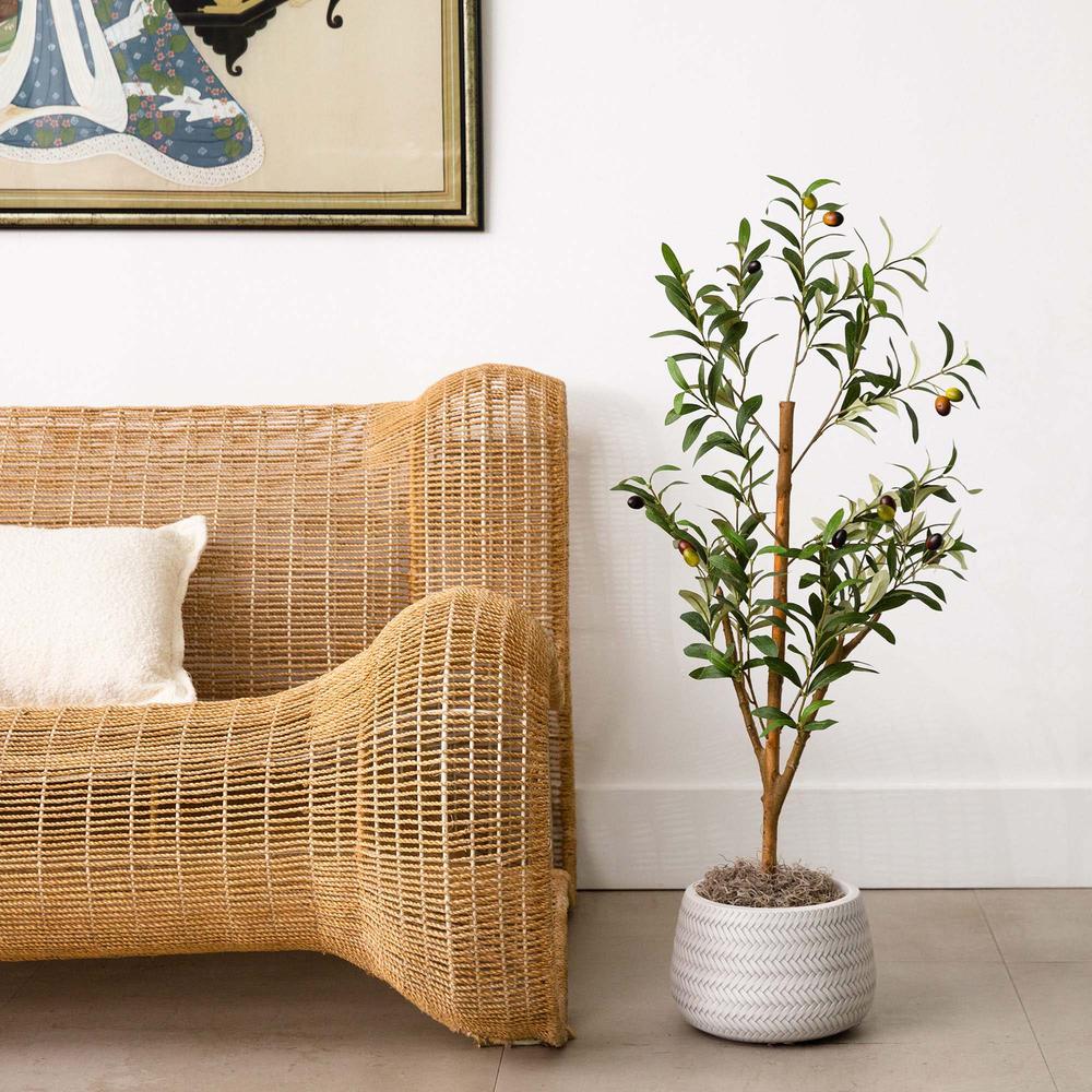 3ft. Artificial Olive Tree with Natural Trunk