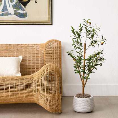 3ft. Artificial Olive Tree with Natural Trunk