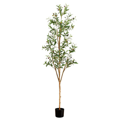 6ft. Artificial Olive Tree with Natural Trunk