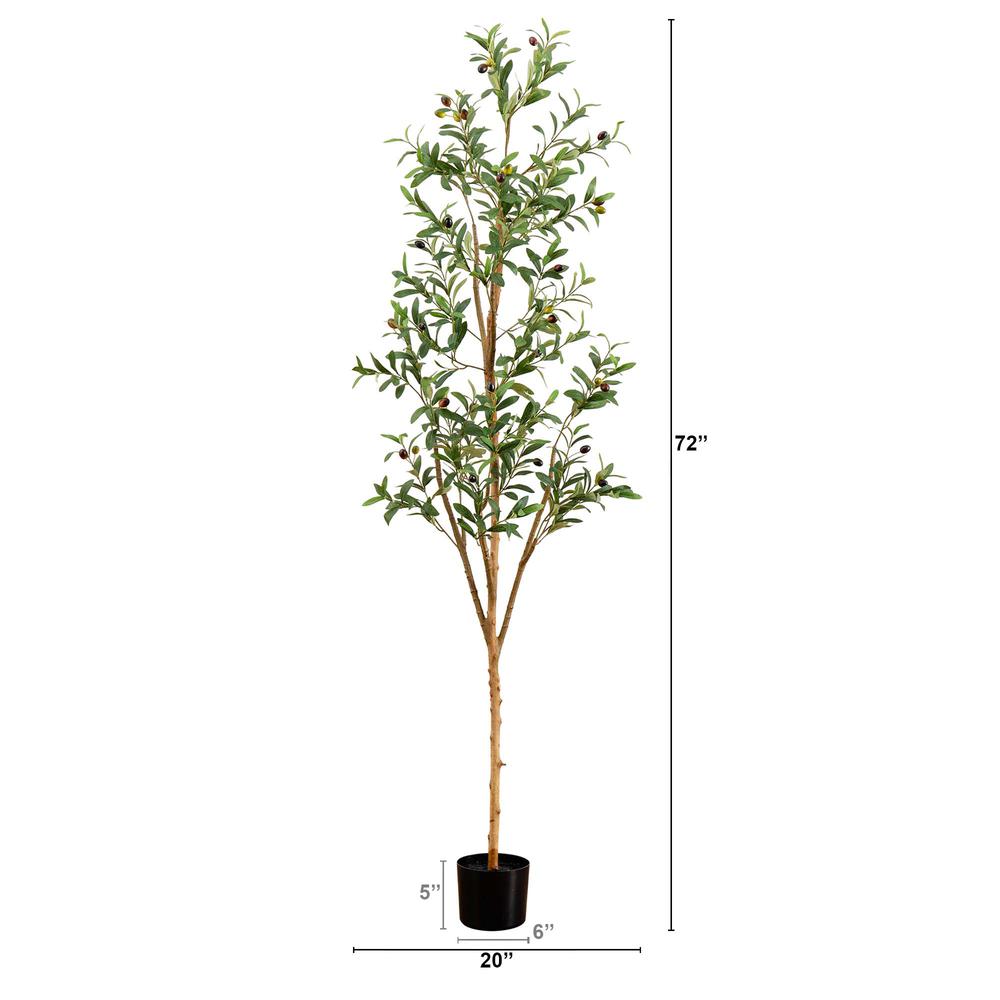 6ft. Artificial Olive Tree with Natural Trunk