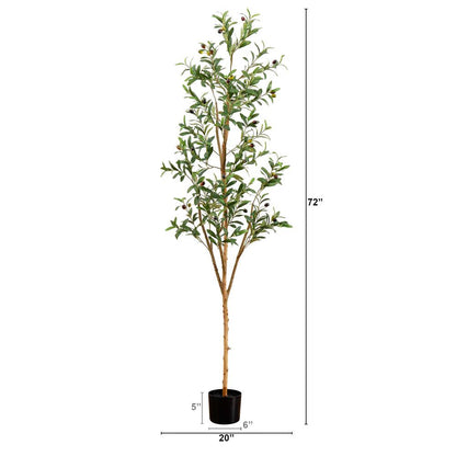 6ft. Artificial Olive Tree with Natural Trunk