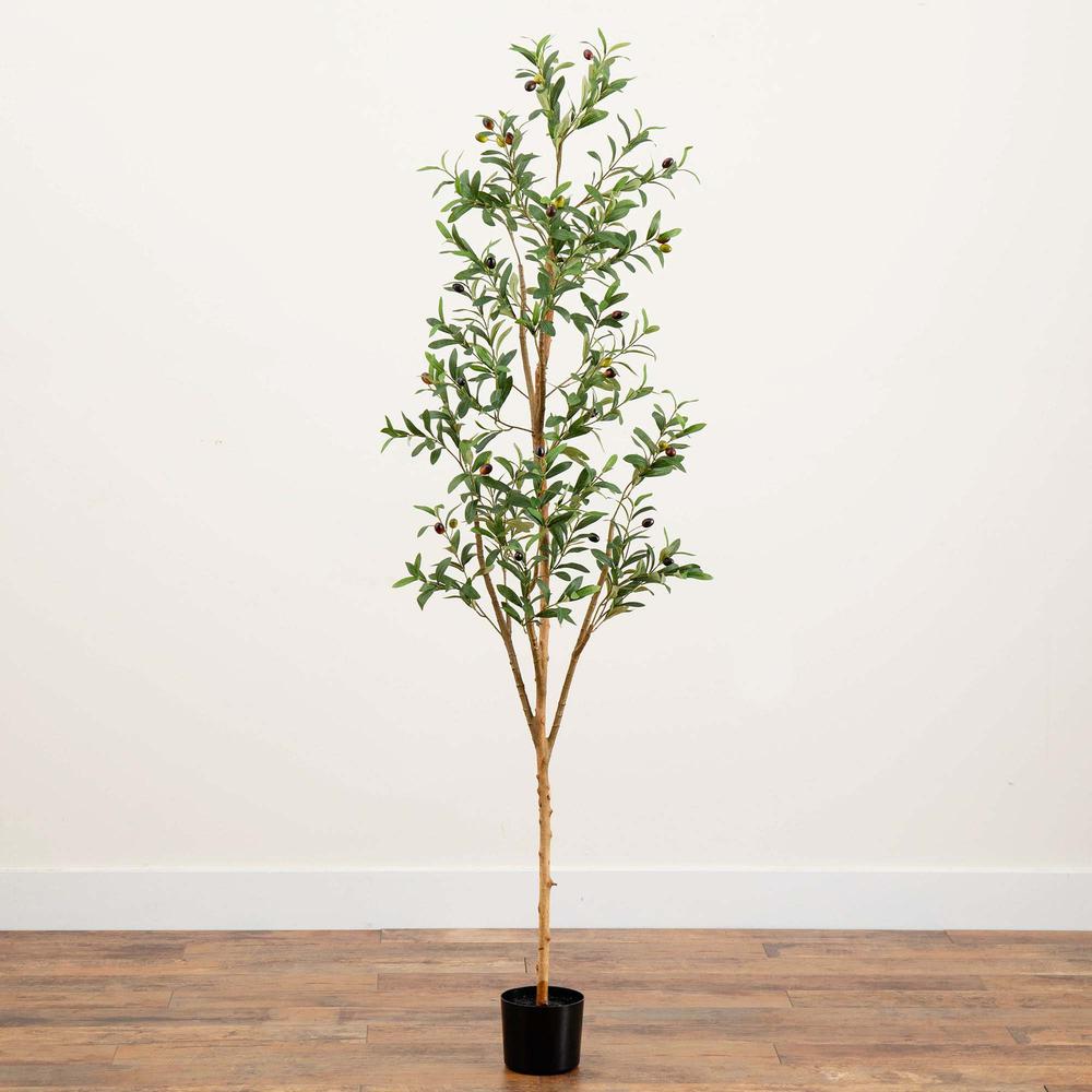 6ft. Artificial Olive Tree with Natural Trunk