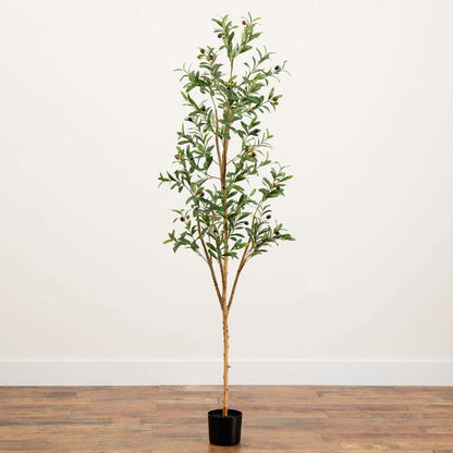 6ft. Artificial Olive Tree with Natural Trunk