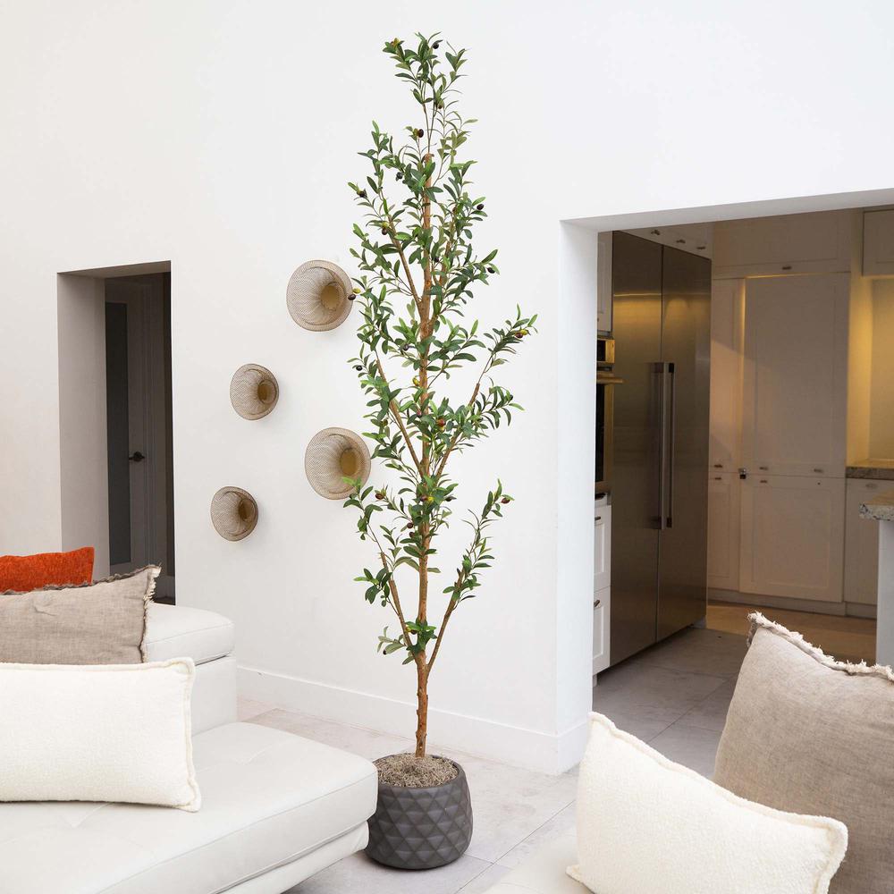 8ft. Artificial Olive Tree with Natural Trunk
