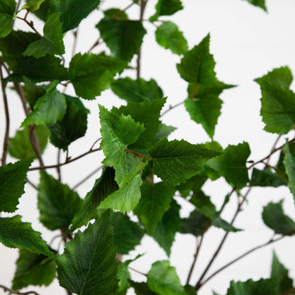 6ft. Artificial Birch Tree with Real Touch Leaves