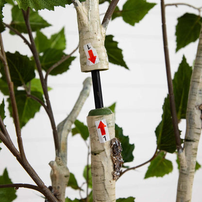 6ft. Artificial Birch Tree with Real Touch Leaves