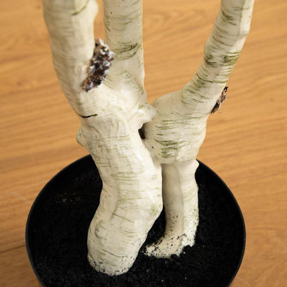 6ft. Artificial Birch Tree with Real Touch Leaves