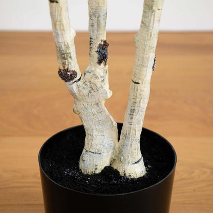 7ft. Artificial Birch Tree with Real Touch Leaves