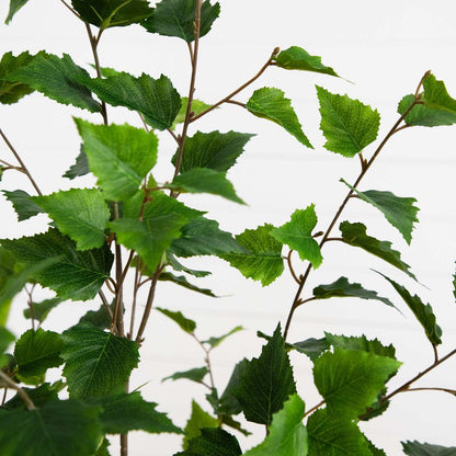 5ft. Artificial Birch Tree with Real Touch Leaves
