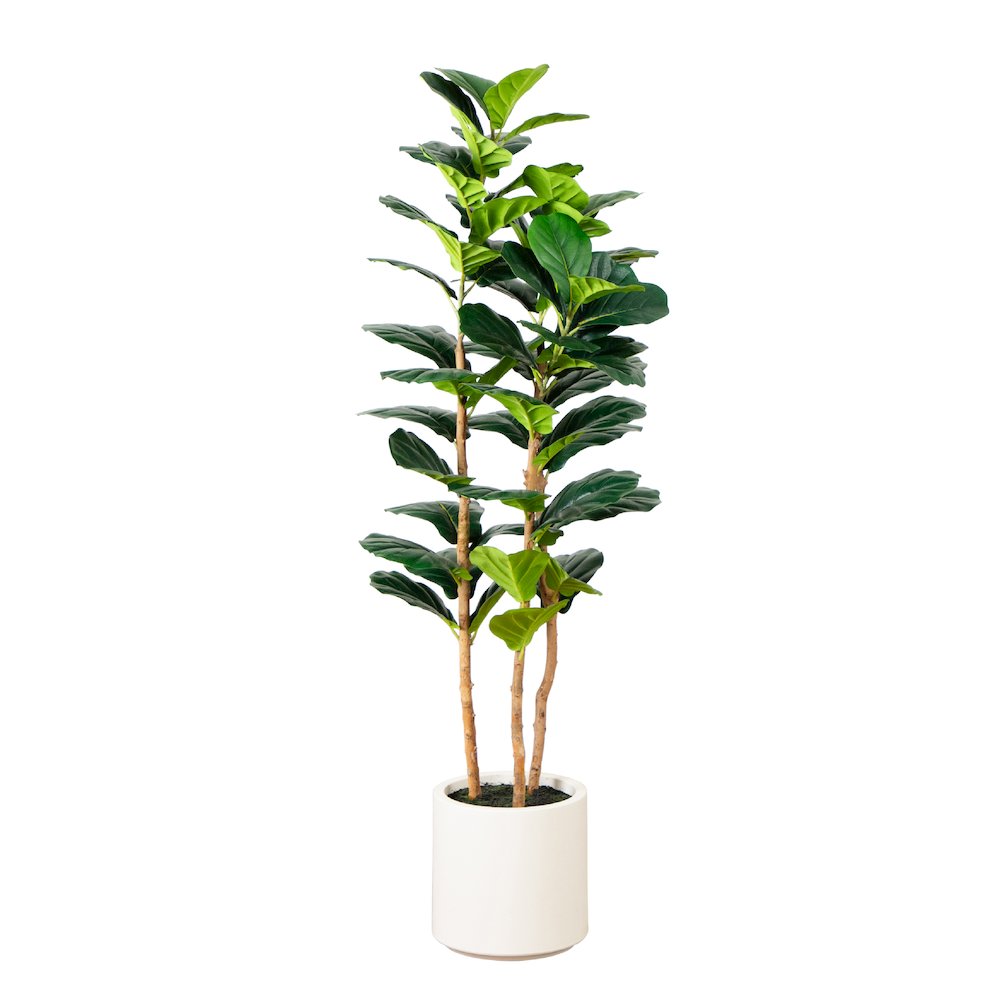 5ft. Artificial Fiddle Leaf Tree in Decorative White Planter