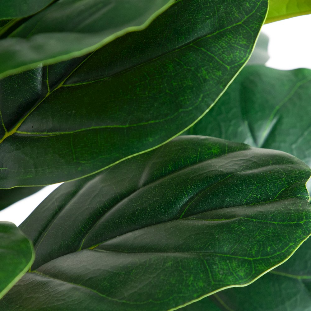 6ft. Artificial Fiddle Leaf Tree in Decorative White Planter
