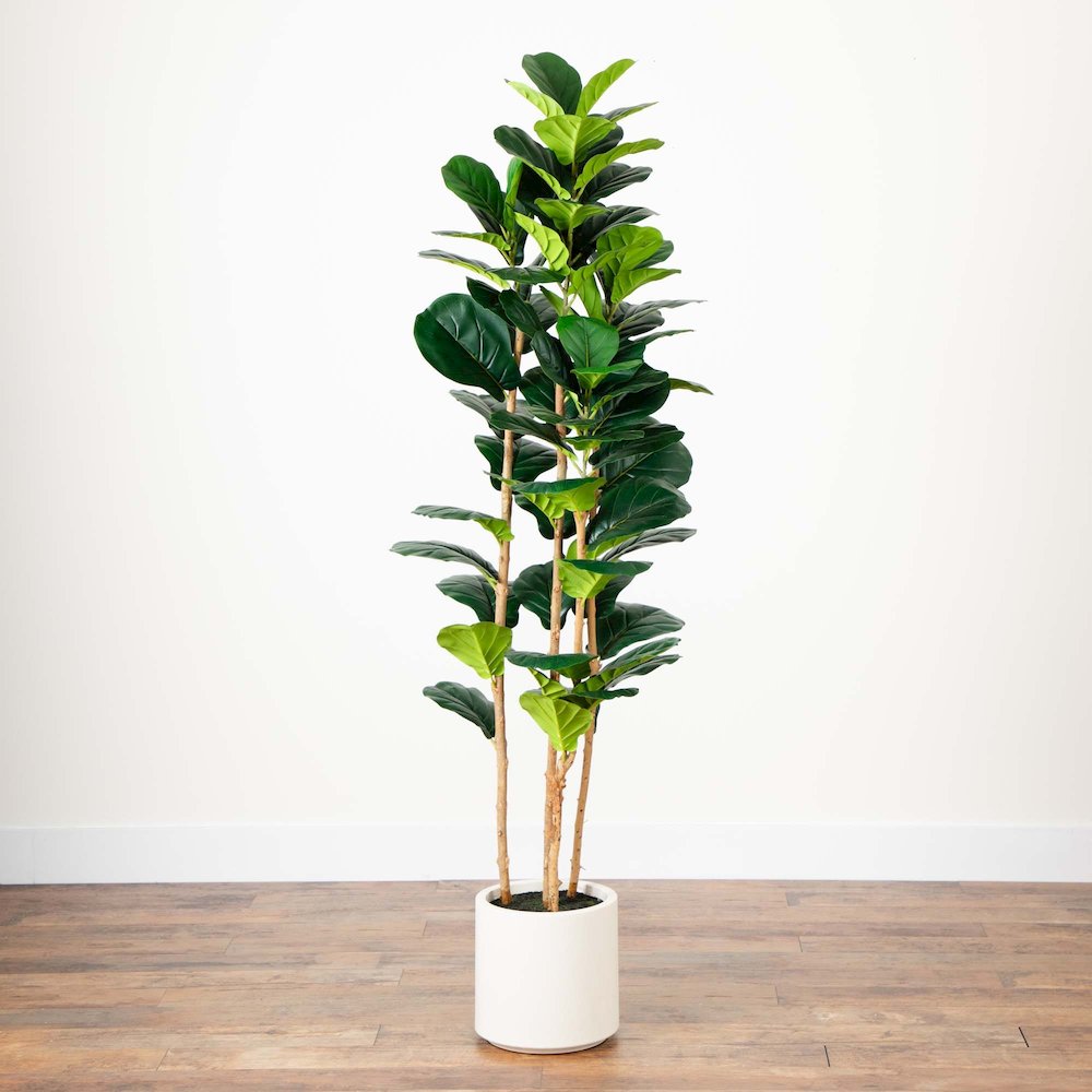 6ft. Artificial Fiddle Leaf Tree in Decorative White Planter