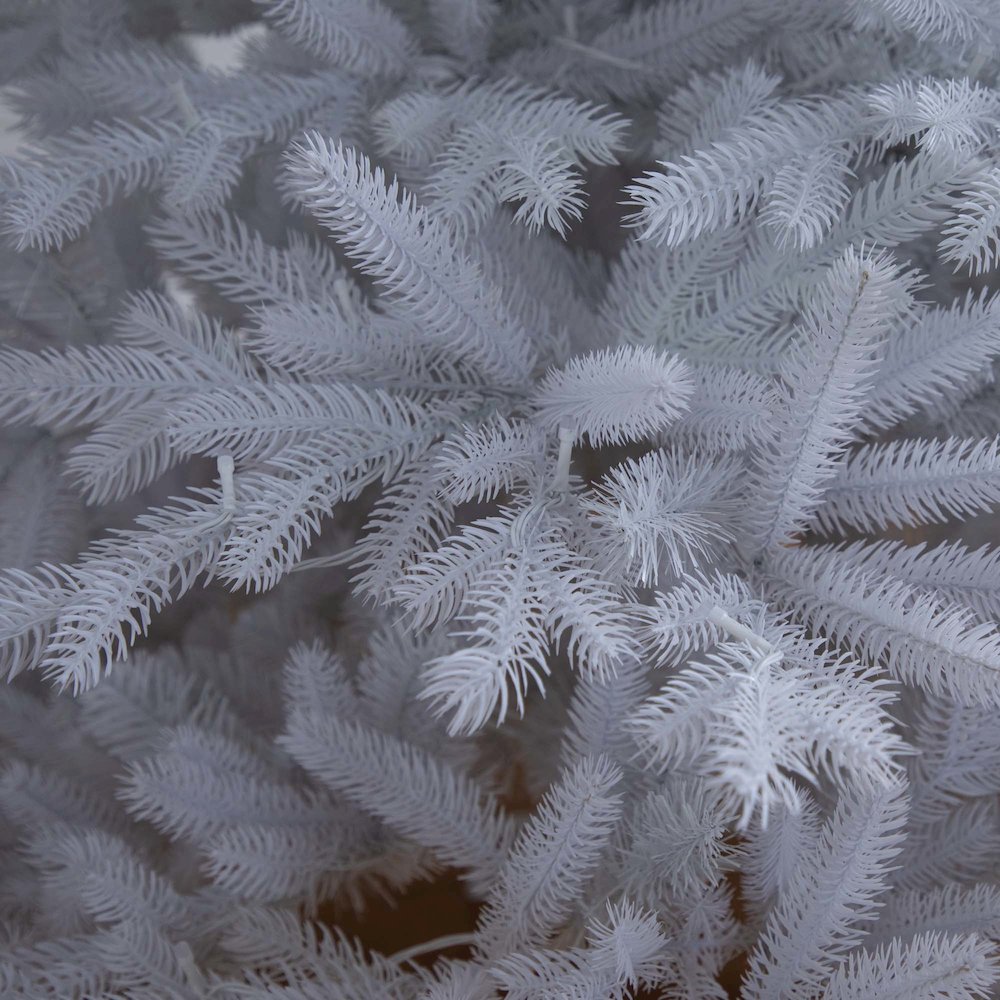 7ft. Pre-Lit Artificial White California Spruce Christmas Tree