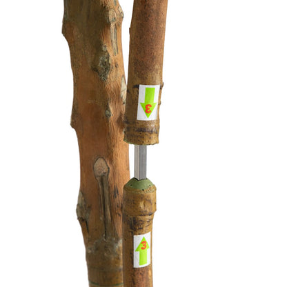 8ft. Willow Artificial Tree (Real Touch)