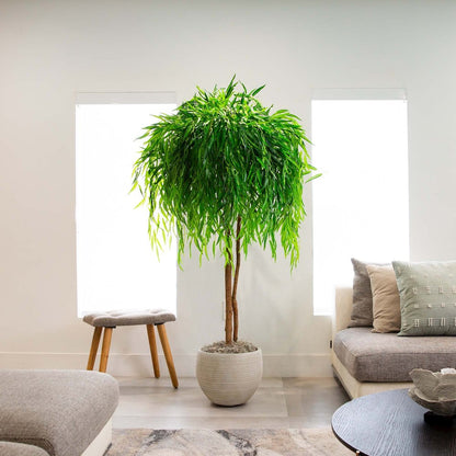8ft. Willow Artificial Tree (Real Touch)