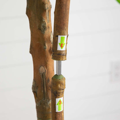 8ft. Willow Artificial Tree (Real Touch)