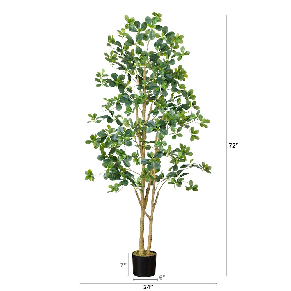 6ft. Artificial Black Olive Tree