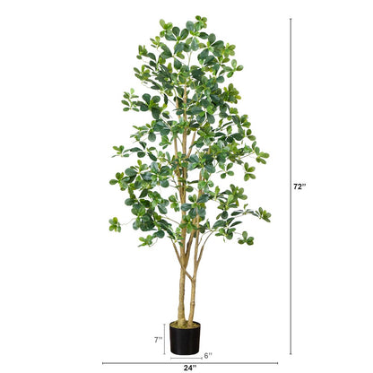 6ft. Artificial Black Olive Tree