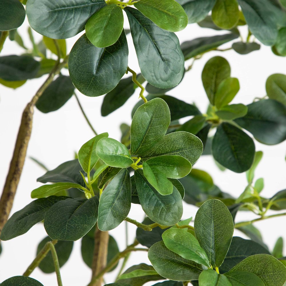 6ft. Artificial Black Olive Tree