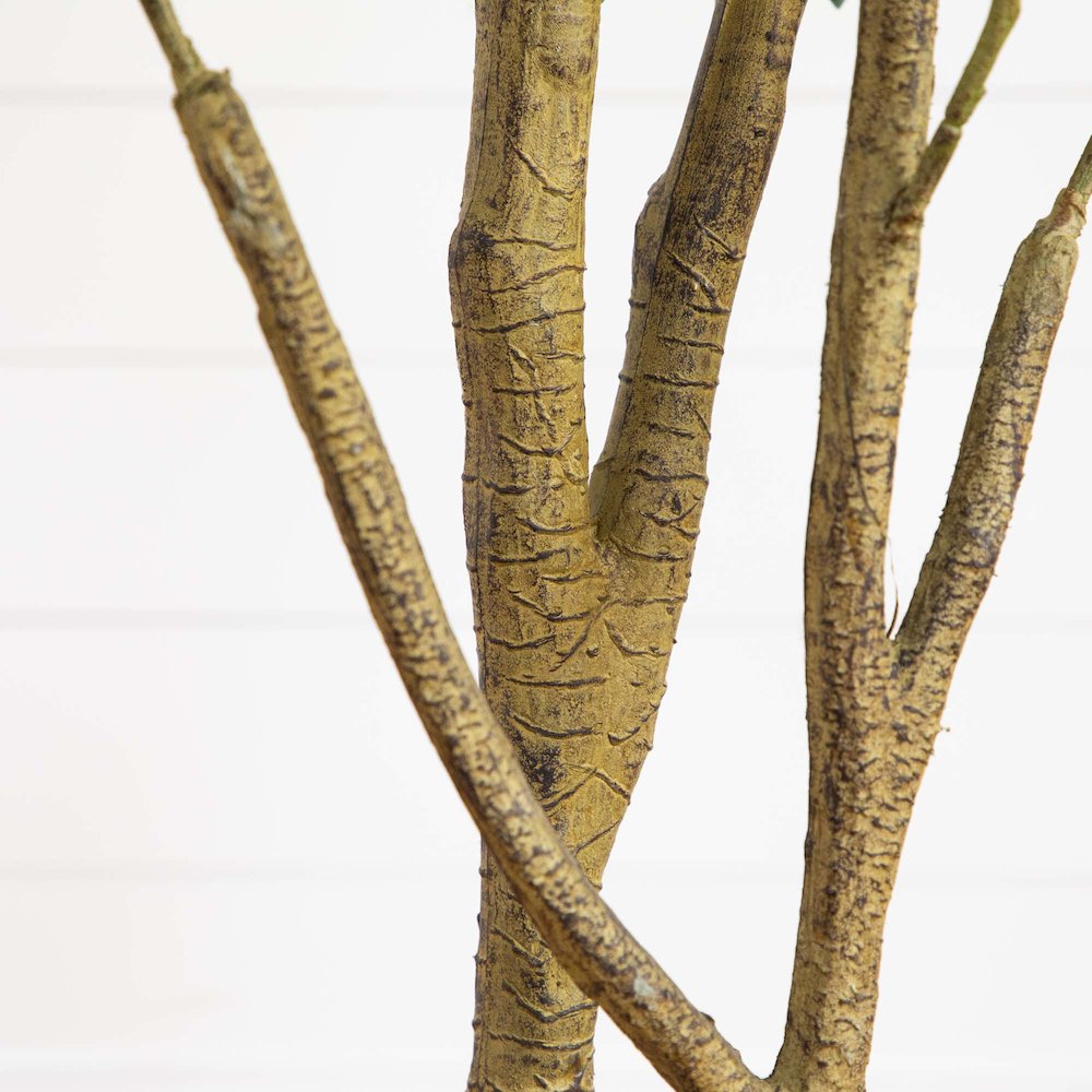 6ft. Artificial Black Olive Tree