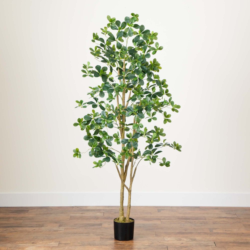 6ft. Artificial Black Olive Tree