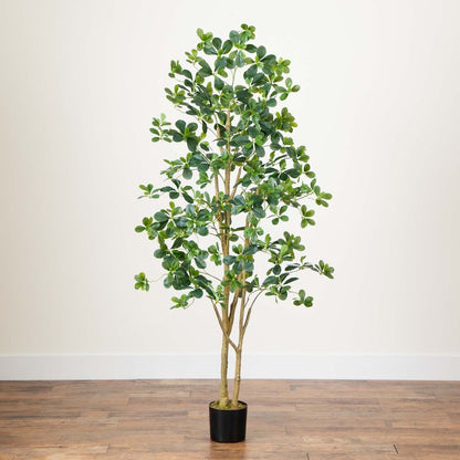 6ft. Artificial Black Olive Tree