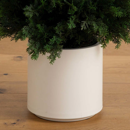 5ft. UV Resistant Artificial Cedar Tree in Decorative White Planter