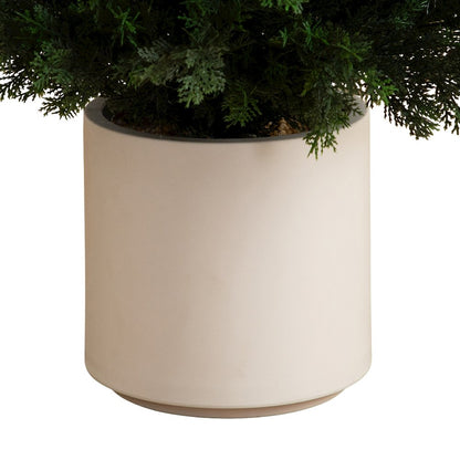 6ft. UV Resistant Artificial Cedar Tree in Decorative White Planter