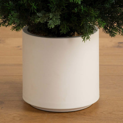 6ft. UV Resistant Artificial Cedar Tree in Decorative White Planter