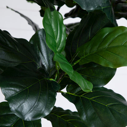 12ft. Artificial Fiddle Leaf Tree