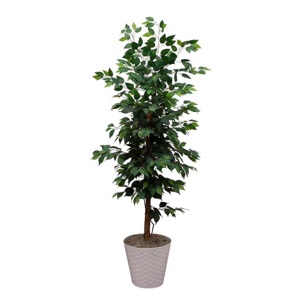 5.5ft. Artificial Ficus Double Stalk Tree in Hexagon Metal Planter