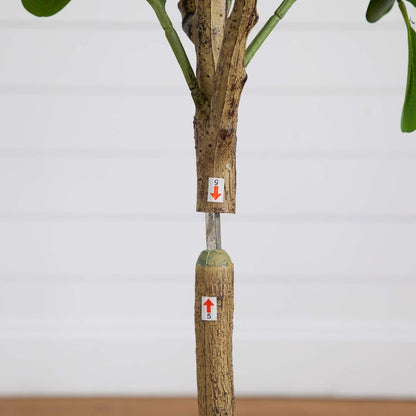 5ft. Artificial Audrey Ficus Tree
