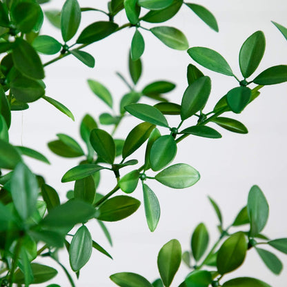 4ft. Artificial Shady Lady Black Olive Tree
