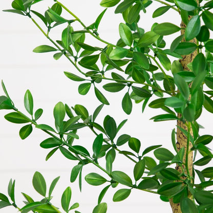 7ft. Artificial Shady Lady Black Olive Tree