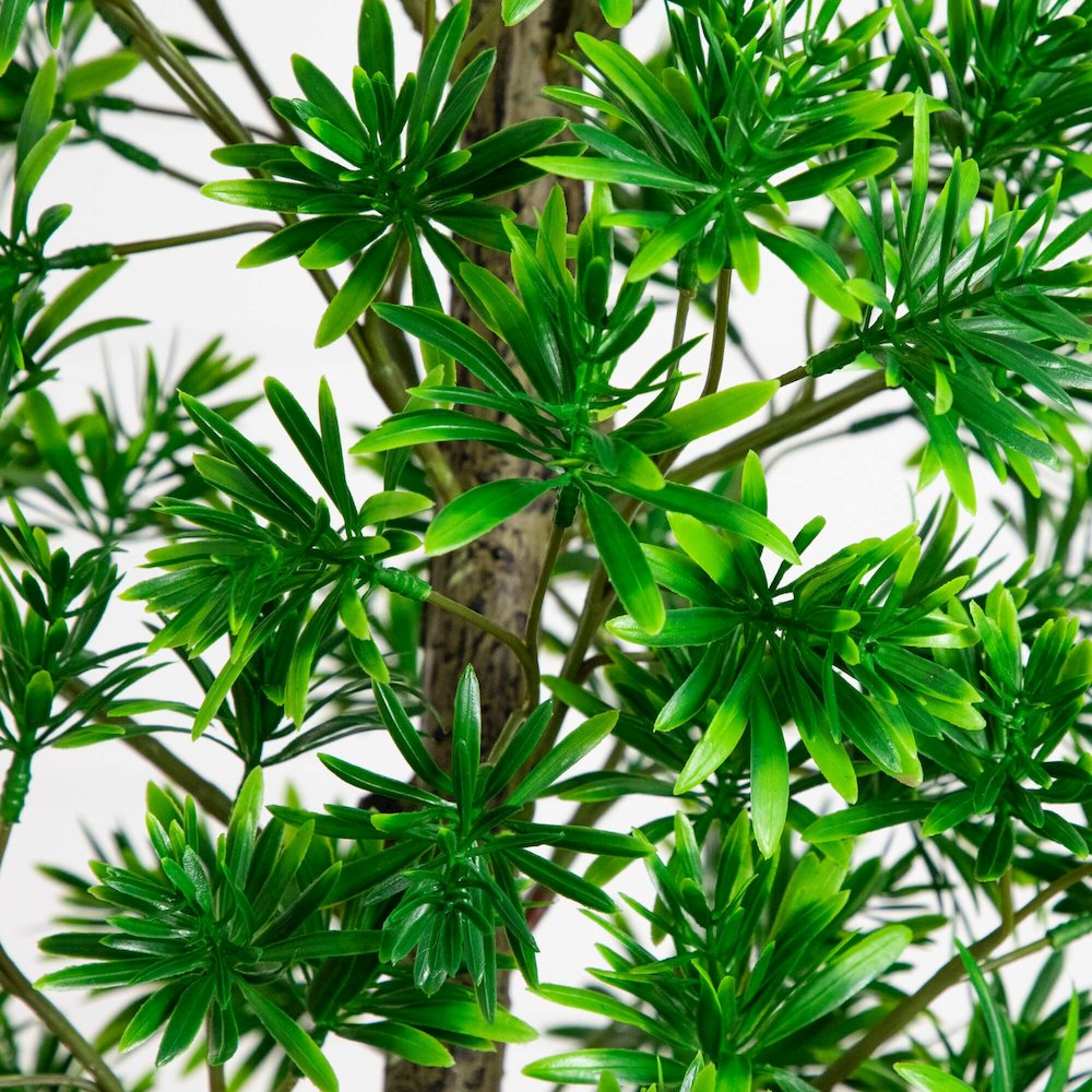 6ft. UV Artificial Podocarpus Artificial Tree (Indoor/Outdoor)