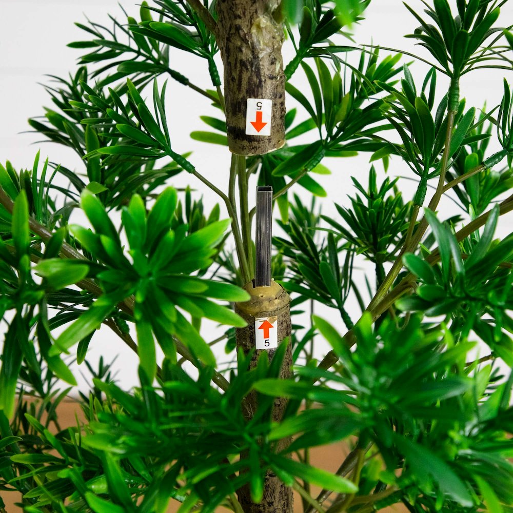 6ft. UV Artificial Podocarpus Artificial Tree (Indoor/Outdoor)