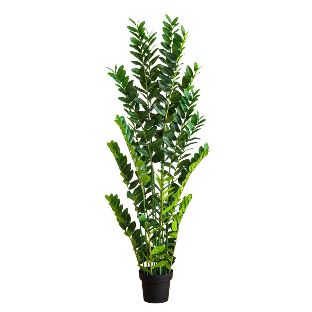 5ft. Artificial Zamioculcas Plant