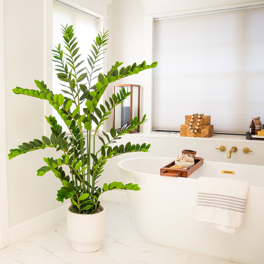 5ft. Artificial Zamioculcas Plant