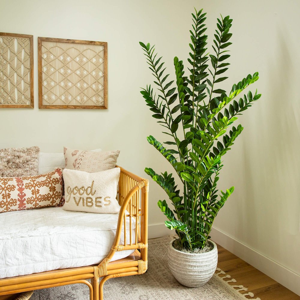 6ft. Artificial Zamioculcas Plant