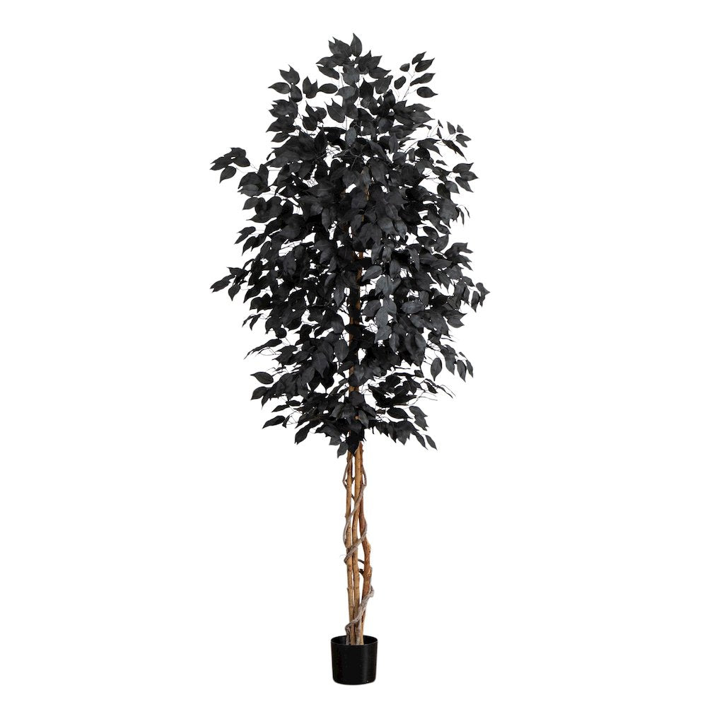 7ft. Artificial Halloween Black Ficus Tree with Natural Trunk