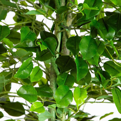 6.5ft. UV Resistant Artificial Ficus Tree (Indoor/Outdoor)